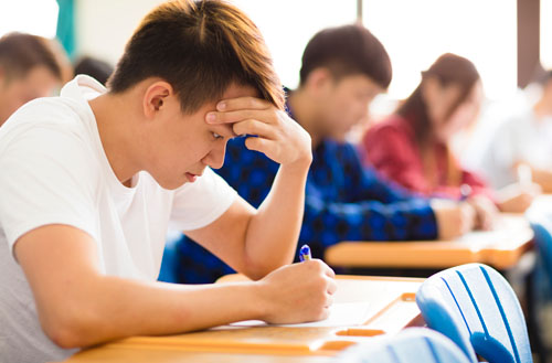 工程管理硕士专业课都学什么内容